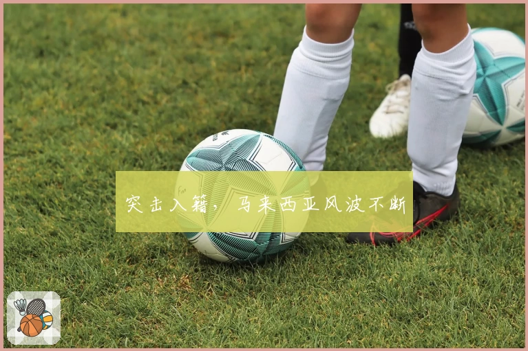 突击入籍，马来西亚风波不断