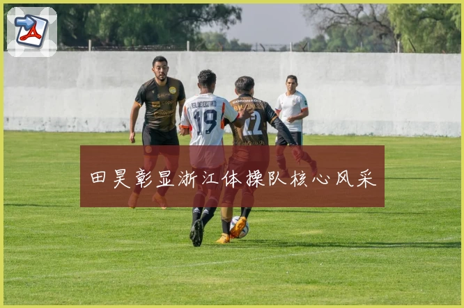 田昊彰显浙江体操队核心风采